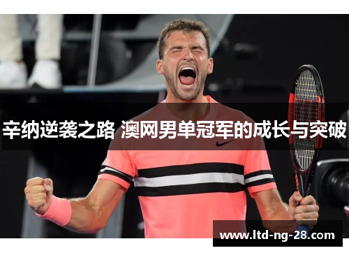 辛纳逆袭之路 澳网男单冠军的成长与突破