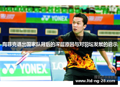 陶菲克退出国家队背后的深层原因与对羽坛发展的启示