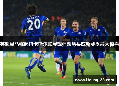 英超黑马崛起纽卡斯尔联展现强劲势头成新赛季最大惊喜