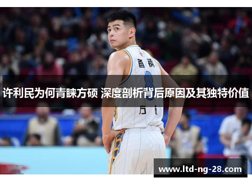 许利民为何青睐方硕 深度剖析背后原因及其独特价值
