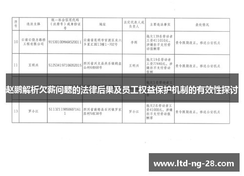 赵鹏解析欠薪问题的法律后果及员工权益保护机制的有效性探讨